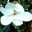 jensanders52.wordpress.com
