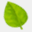 ecogarmon.com