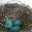 ditchthegrid.wordpress.com
