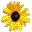compostthermometer.com