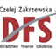 dfs.com.pl