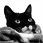 text.tuxedokatze.com
