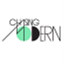 chasingmodern.com
