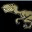 blogiraptor.wordpress.com