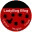 ladybugblog.com