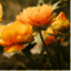 ibrdesignblog.wordpress.com