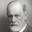 comite-freud.com