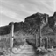saguarodrive.com