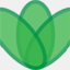 designseedling.com