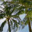 explorasia.org