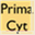 primacyt.net