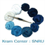 kram.snru.ac.th