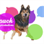 puck-productions.com