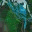 gis-environmental.com