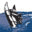 kootenayswiftwater.com