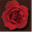 warmheart-kobe.com