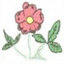 passagesmidwifery.com