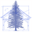 tongassblueprint-seacc.nationbuilder.com