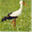 workingfornature.info