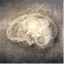 neuroinsight.wordpress.com
