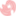 nanicollection.com