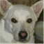 tailtalk.org
