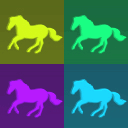 horseridingshirts.com