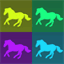 horseridingshirts.com