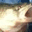 reelfuncharters.org