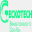 geckointernational.com