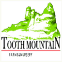 toothmountainursery.com