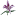 perfumand.com