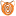 rexxaroo.com