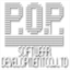 popkk.com