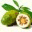fructulnoni.wordpress.com
