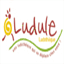 ludule.over-blog.com