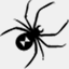 blackwidow.ro