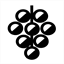 theageofriesling.com