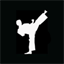 ntshaolin.com