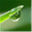 increasing-consciousness.de