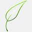 leafnet.org