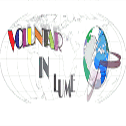voluntarinlume.millenniumcenter.org