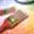 msgpc.com