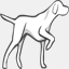 pacdog.eu