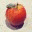thewestcider.wordpress.com