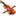 jerusalemviolinist.net