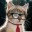 dumbnerdblog.wordpress.com