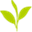 biorun.net