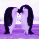 apurplepenguin.tumblr.com