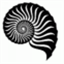 octavian.dunare.net